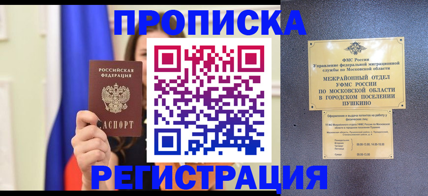 где прописаться в Шали